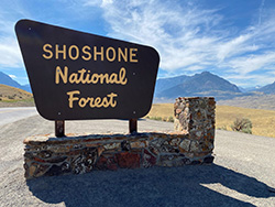 Shoshone Nation Forest
